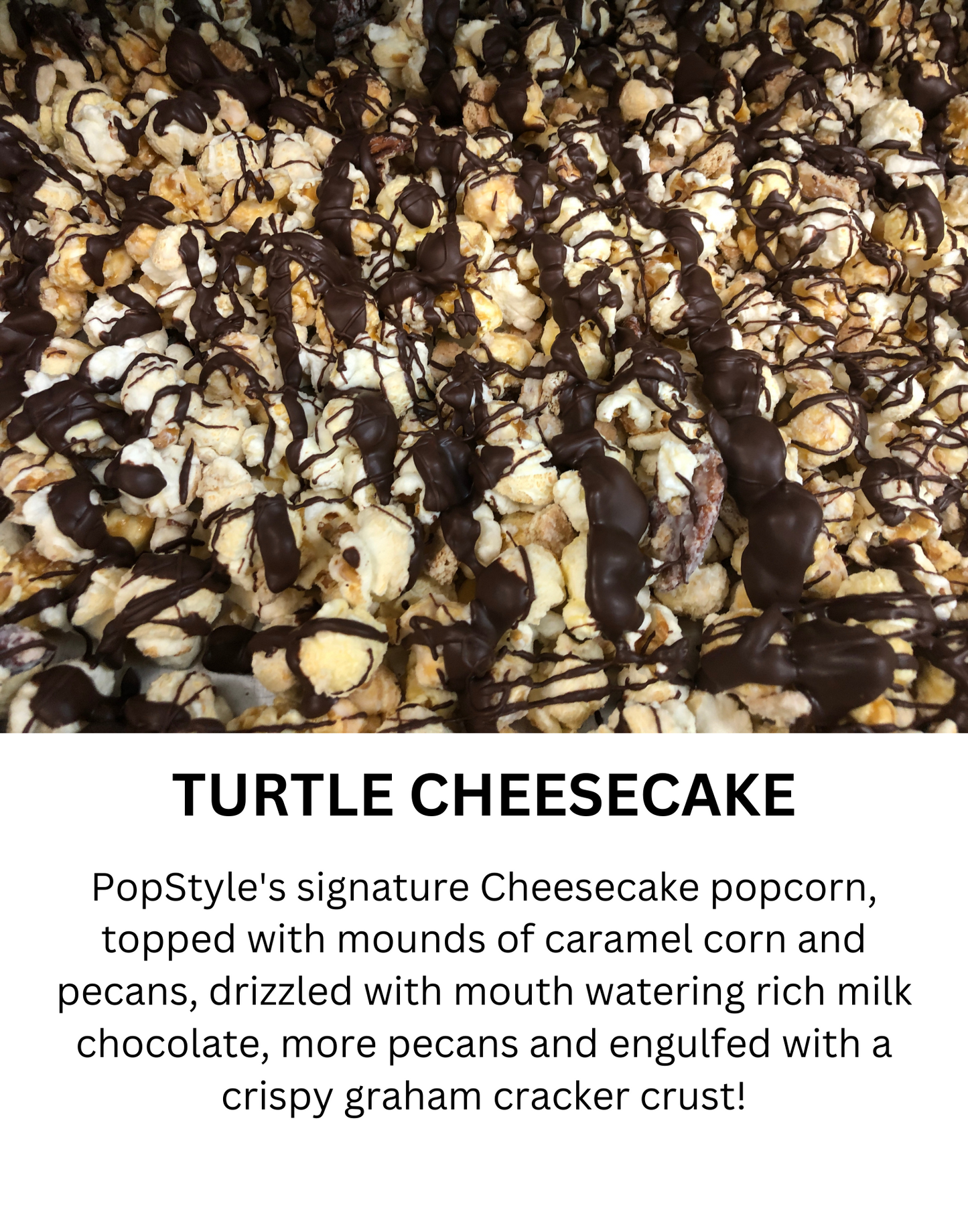 Turtle Cheesecake