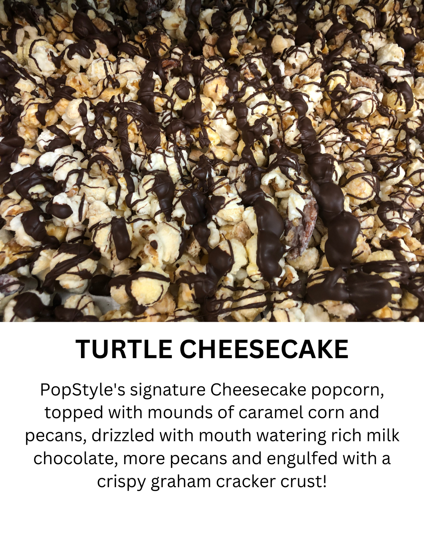 Trurtle Cheesecake